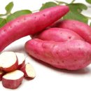 고구마짐 이미지