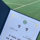 봄날의 햇살 이미지