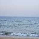 오션파크호텔 이미지