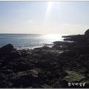 봄이 오는 길(시비 이미지