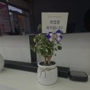 지인컴퍼니