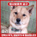 효리/2살/여아 이미지