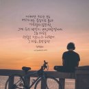 토닥토닥