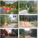 자작나무길펜션 이미지