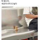 홀리싯커피서플라이