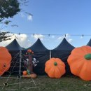 백일홍어린이공원 이미지