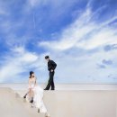 울산더엠컨벤션 루프탑가든 홀투어 후기