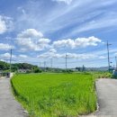 양백스테이 이미지