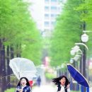강풍 이미지