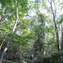 자연으로Ⅰ 이미지