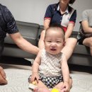 분당-243 이미지