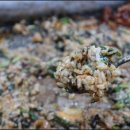 배부른생오리 이미지