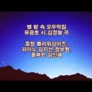별플라워 이미지