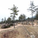 마복산목재문화체험장 Daum카페