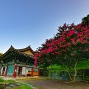 계룡 농장 이미지