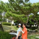 분향초등학교 이미지