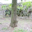 삼번가돈까스 이미지