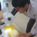한국개발 이미지