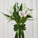 [10/10] 프리저브드 플라워 하바리움 - 원데이 클래스 이미지