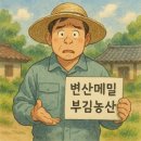 변산메밀 부김농산의 메밀이야기