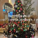 와인주막차차 명동점 을지로 콜키지프리 식당 송년행사 모임장소 추천