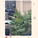 안경세상하나비 | (2024) 6.