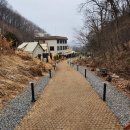 정 | 용인 처인구 유림동 베이커리 카페 '정그리다' 내돈내산 솔직 후기
