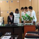 한밭초등학교 이미지