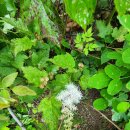 김천시 연화보건진료소 화장실 | 김천100명산-신선봉.국사봉.대덕산.초점산.국사봉.장군봉.대왕봉