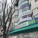 티플러스테니스