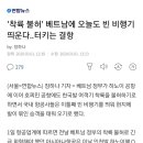 '착륙 불허' 베트남에 오늘도 빈 비행기 띄운다..터키는 결항 이미지