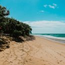 리코(rico) 이미지