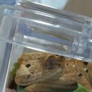 코니사진관 이미지