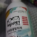미자애견 이미지