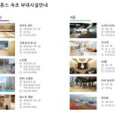 [속초] 속초 체스터톤스 가족여행 숙소 추천 (A동, 희희낙락 후기)