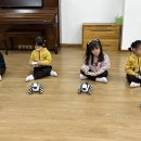 🌸 밍키와 함께하는 사고력 코딩 이미지