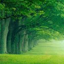 숨쉬는공간 이미지