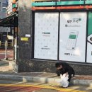 인천운서초등학교 이미지
