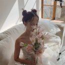 헤쎄드플라라 이미지