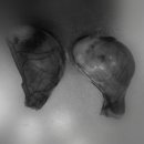 더바른동물병원 앞 이미지