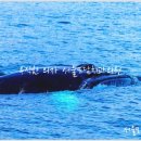 서울모담치과의원 이미지