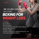 수원복싱체육관 | 수원 다이어트 복싱 영화동 수원체육관 여자 복싱 1년 후기 feat. NBNL