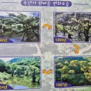 능수버들공원 화장실 | 청송 주산지 왕버들 봄 여름 가을 풍경 가볼만한곳
