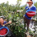 수철농장 이미지