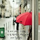 단비네 이미지