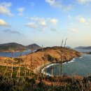 녹산사슴 이미지