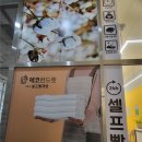 국제빨래방 | 송도 빨래방 추천 🧺에코런드렛 셀프빨래방 송도국제도시점 후기 ✨