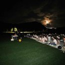 사)무주반딧불축제제전위원회 이미지