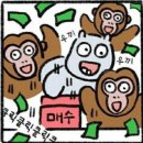 위아더월드 | 위아더월드코인 매도후기에 근황 한 스푼