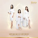 골든 이미지